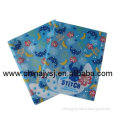 Model JY-1006 A4 A3 plastic file folder holder with inner pockets